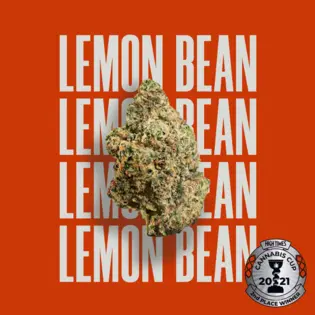 (2.83g) Lemon Bean Flower 2.83g | 1 Day | 704402