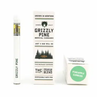 (g) Pineapple Express Disposable Vape - 0.5g