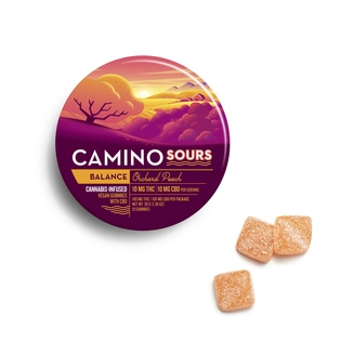 (each) Kiva Camino Sours Orchard Peach | Balance 1:1 Gummies [10pk] (100mg CBD/100mg THC)