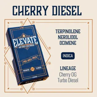 (5.0g) Cherry Diesel Pins Pre-Roll | 10-pack