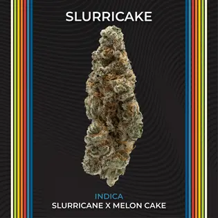 (2.83g) Slurricake #13 Select Flower 2.83g | 1 Day | 920001