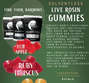 (0.11g) Melon Twist Live Rosin Gummies 10pk 100mg | 1 Day | 984725