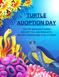 NOVEMBER 27TH TURTLE ADOPTION DAY