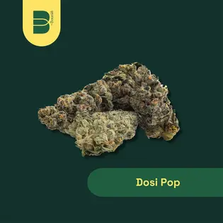 (14.0g) Popcorn Flower | The Botanist | Dosi Pop