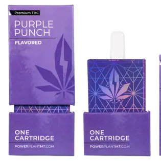 (each) Purple Punch 1g Disposable