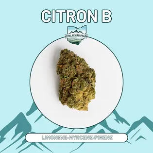 (2.83g) Appalachian Pharm - Citron B (H) - 2.83g