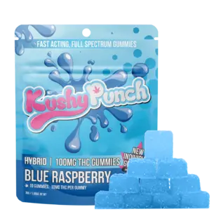 (each) Blue Raspberry Individual 10pk Gummies (100mg)