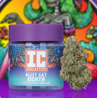 (3.5g) Flower | IC Collective | Alley Cat