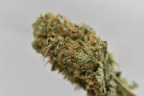 (1.0g) Chemdawg - Flower - Indica