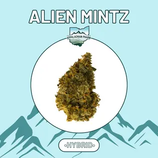 (2.83g) Appalachian Pharm - Smalls -  Alien Mints (H) - 2.83g