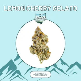 (2.83g) Appalachian Pharm - Smalls - Lemon Cherry Gelato (I) - 2.83g