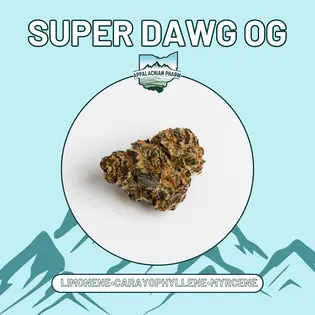 (14.15g) Appalachian Pharm - Super Dawg OG (H) - 14.15g