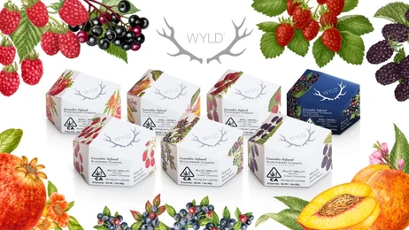 30% OFF Wyld Gummies (May Special)