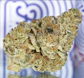 7g for $70 | Fresh Cannabis