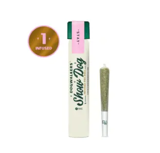 (each) VelcroZ Big Show Dog Infused Pre-Rolls [1g]