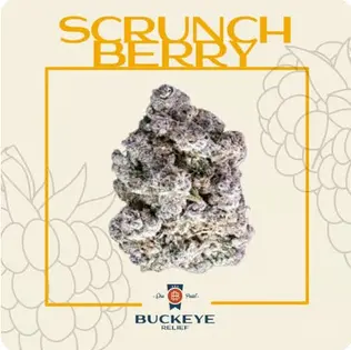 (2.83g) Scrunch Berry Flower 2.83g | 1 Day | 924501