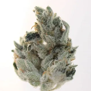 Full Flower Ounce Sale $79.30