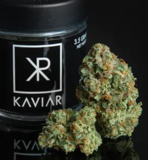 (3.5g) KAVIAR | POWER | FLOWER | 3.5G (HYBRID)