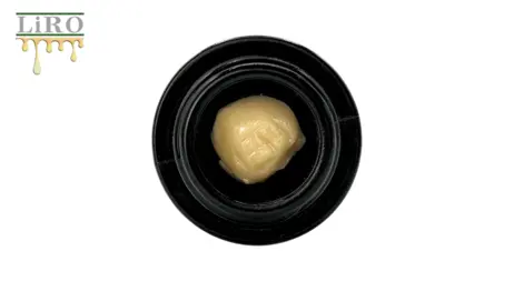 (1.0g) Jungle Cream Pie - Hash Rosin