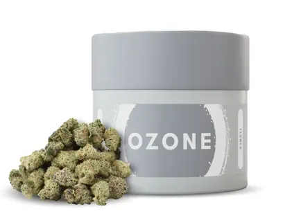 (7.0g) Popcorn | Ozone | Citrus Mac