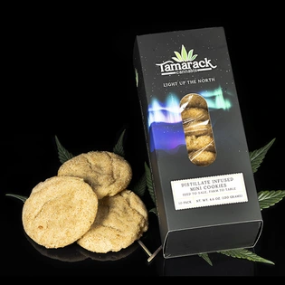 (g) Mini Cookies (10pk) - Full Spectrum - Day - Snickerdoodle