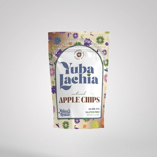 (0.05g) NATURAL APPLE CHIPS