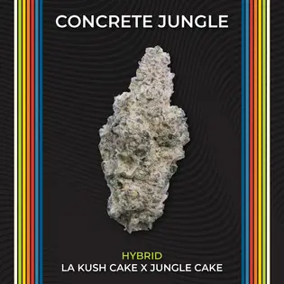 (2.83g) Concrete Jungle Flower 2.83g | 1 Day | 811903