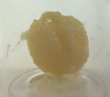 (g) Cured Resin (1g) - Agua Pop