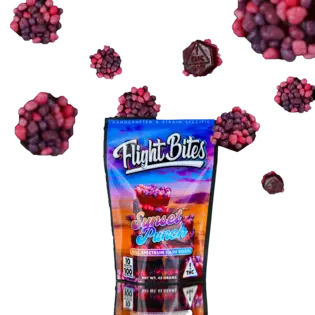 (0.1g) Flight Bites Sunset Punch 10pk Rosin Gummies 100mg