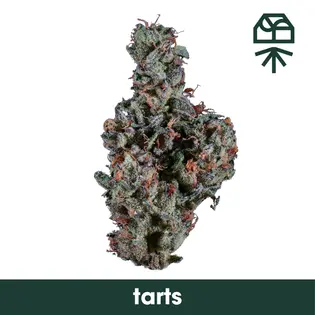 (3.5g) Tarts Whole Flower