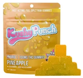 (each) Pineapple Individual 10pk Gummies (100mg)