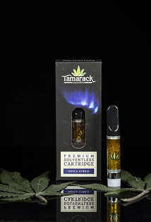 (g) 1G Honey Banana Live Rosin Cartridge