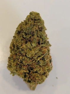 (g) Animal Cookie Buds 917