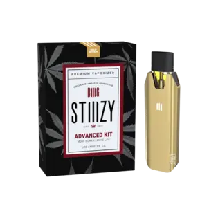 BIIIG STIIIZY Battery | Gold